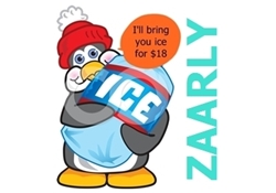ice2170z2