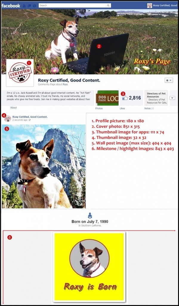 Roxy-Facebook-Sizes1-Socialmarketingfella