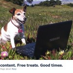 Roxy page content marketing san francisco21