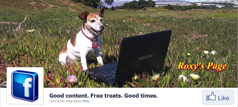 Roxy page content marketing san francisco21