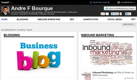 Twylah-socialmarketingfella-landing-page2