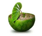 planet apple socialmarketingfella 2001