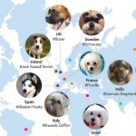 Pet Internet Trends 2014 header