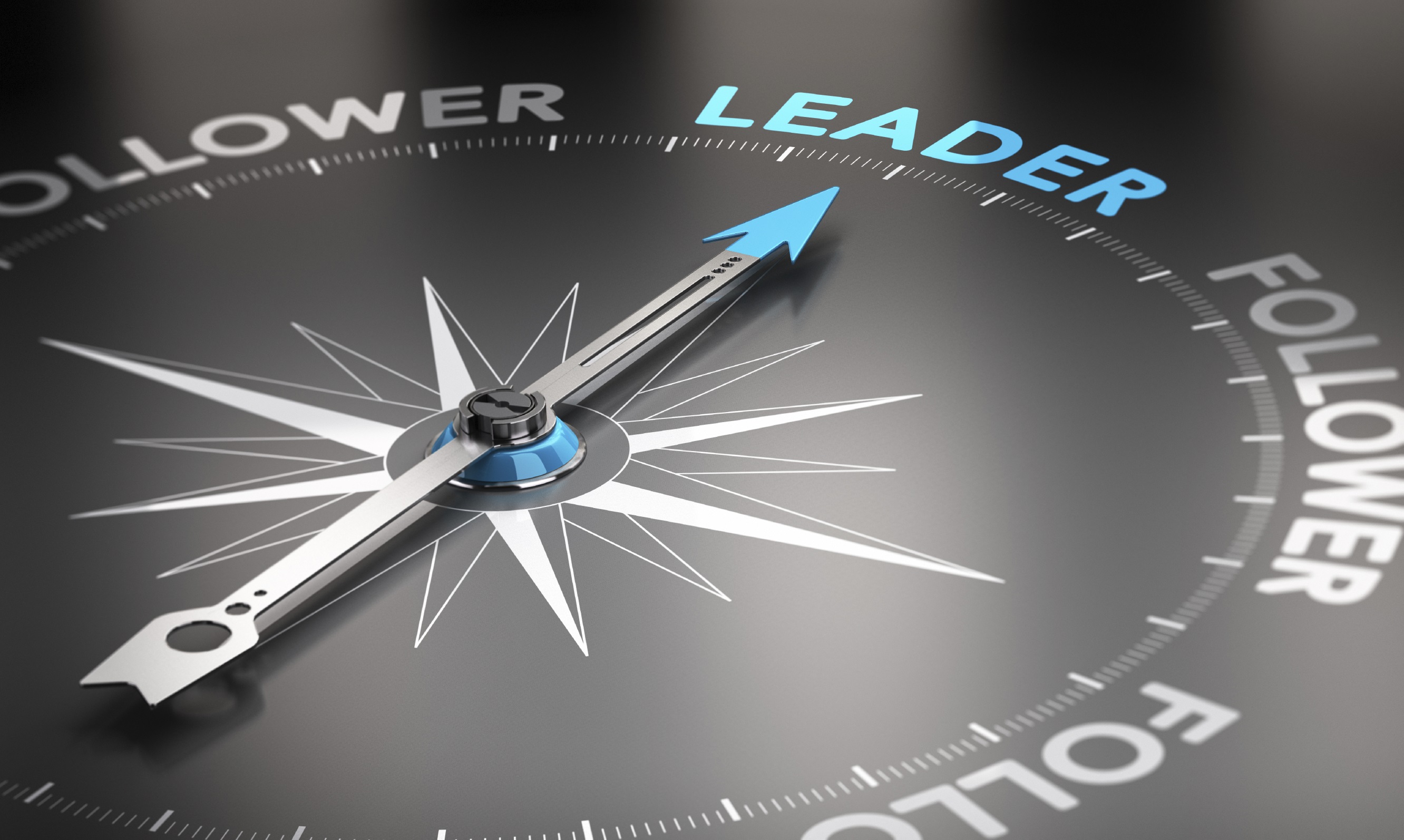 Leaders and Followers