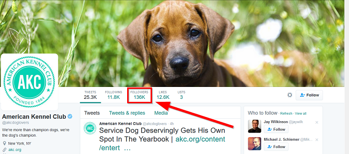 akc-twitter-profile