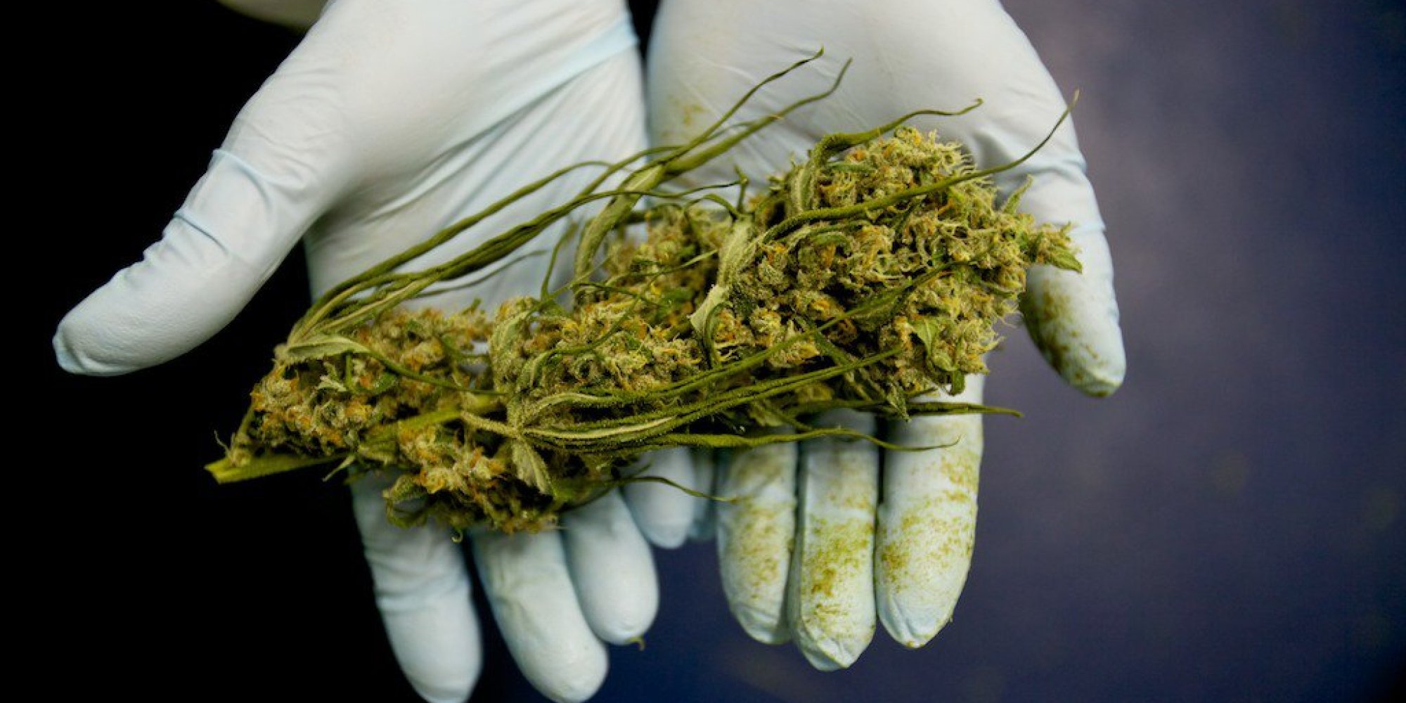o MEDICINAL CANNABIS facebook