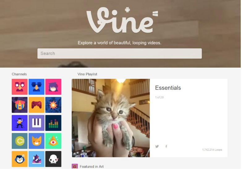 Screenshot of the Vine homepage featuring a search bar at the top, channels displayed on the left, and a Vine Playlist titled "Essentials" displaying a video of a person holding a small, fluffy kitten. The adorable video has gained over 1.7 million loops on Vine.