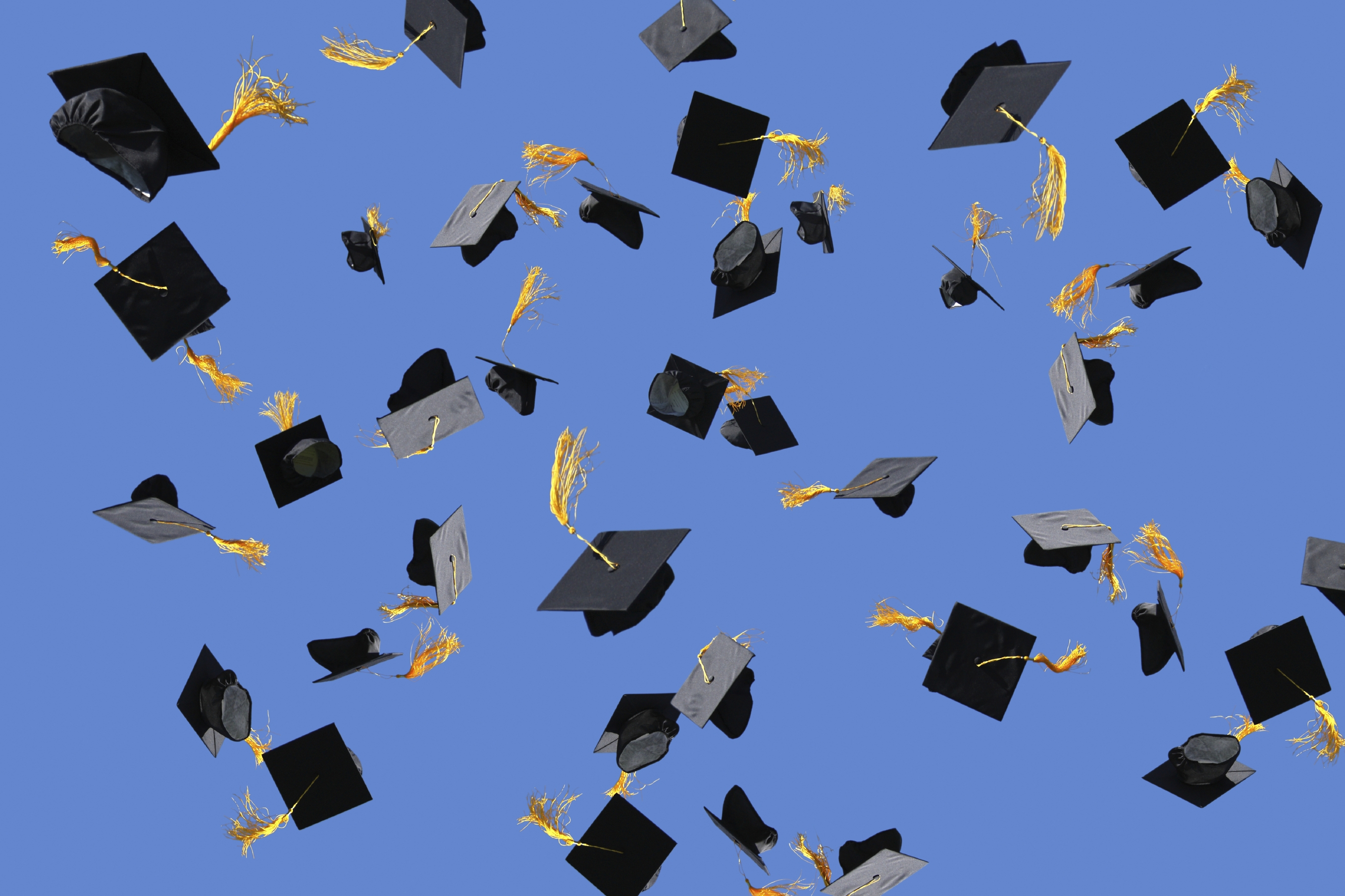 educationmain 2