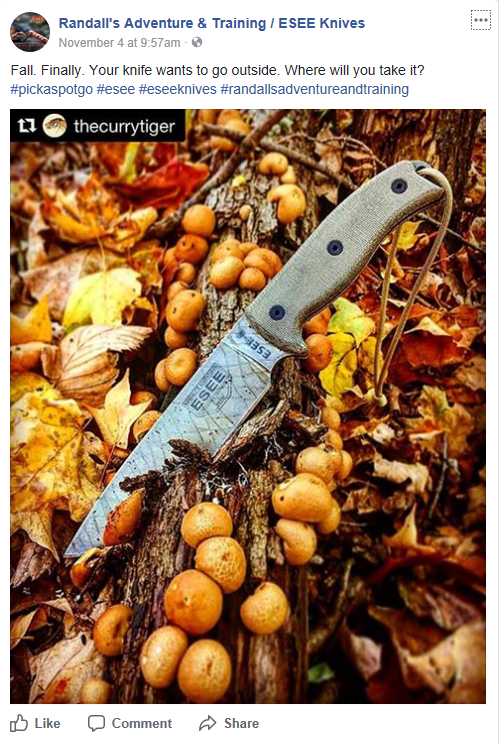 A tactical knife with a gray handle is lodged into a tree trunk adorned with small orange mushrooms among autumn leaves. The image, shared on social media by Randall's Adventure & Training / ESEE Knives, promotes outdoor exploration and knife use in fall settings.