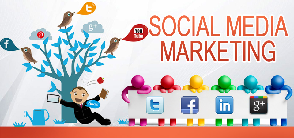 social1 1
