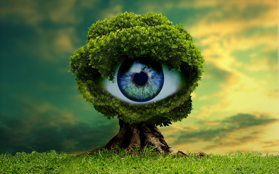eyeseeyou