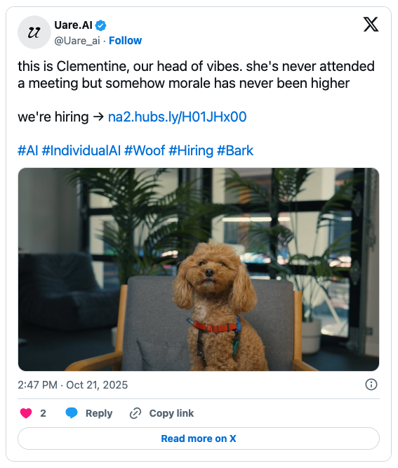 A small brown poodle sits on a yellow chair in an office setting, looking at the camera. Large green plants and blurred office furniture are visible in the background, hinting at the creative vibe of an AI startups workspace.